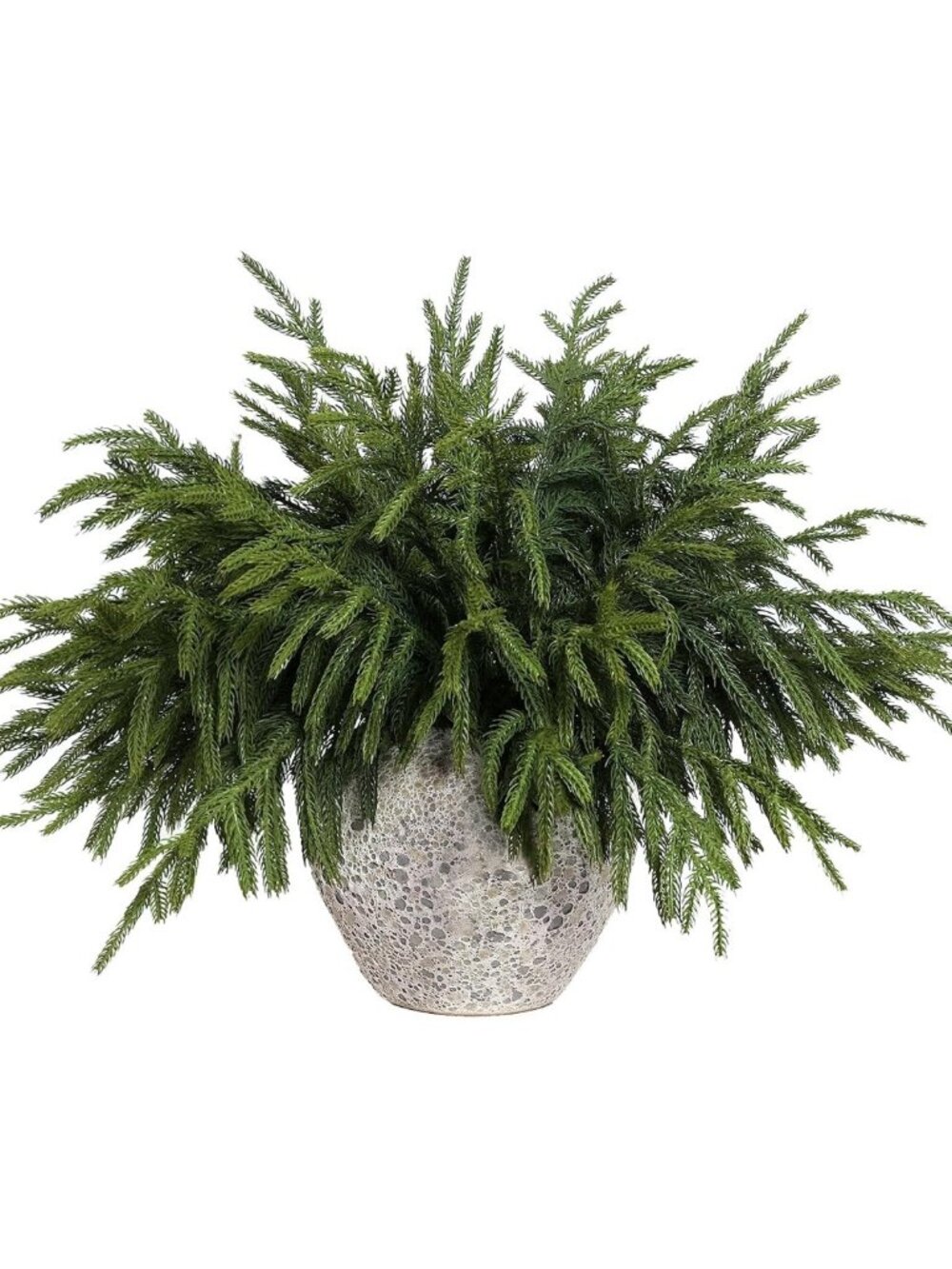 32 Pcs Lifelike Touch Norfolk Pine Branches - Perfect for Holiday Decor & Vases